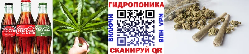 Купить  Салават  Canna-Cookies конопля 