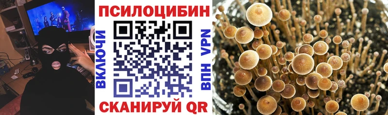 Купить  Салават  Галлюциногенные грибы Psilocybine cubensis 